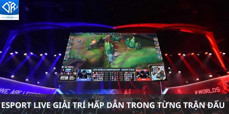 Esport Live Giải Trí Ngay Trong Từng Trận Đấu Trực Tiếp